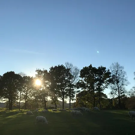 Feriehus Kyrkjeneset *