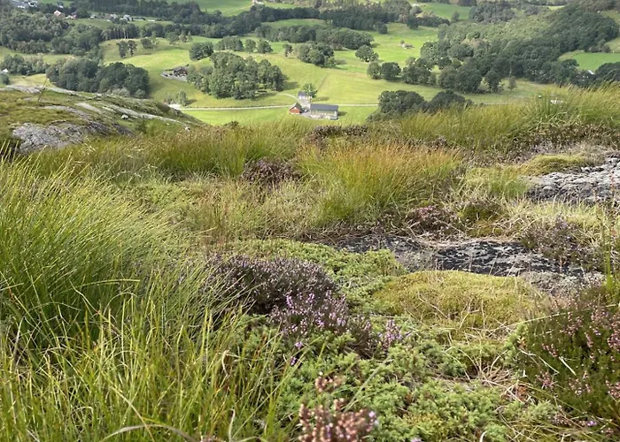 Hébergement de vacances Kyrkjeneset Bjerkreim
